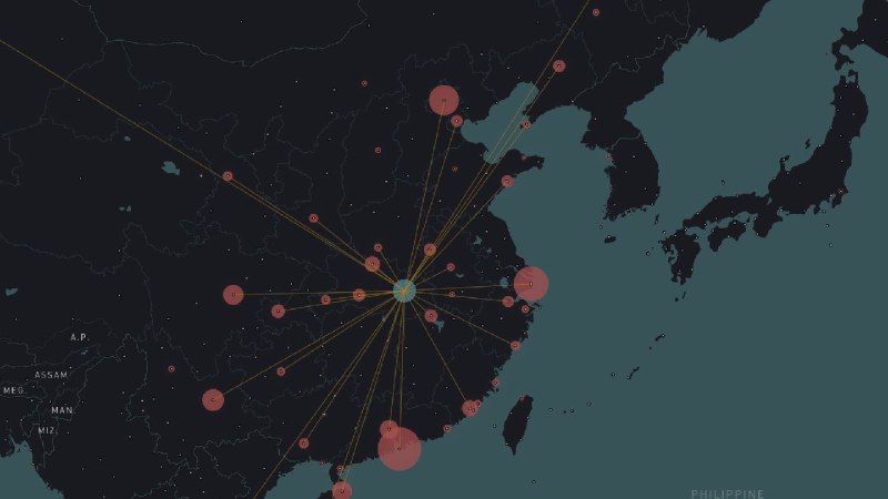 2019 新型冠状病毒扩散的可视化